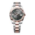 Rolex Datejust 41 Wimbledon Everosegold with Oyster Bracelet & Fluted Bezel - Palazzolo Watches