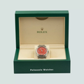 Rolex Oyster Perpetual 41mm Coral Red - Palazzolo Watches
